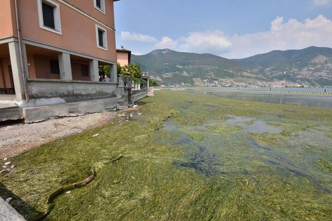 Alghe nel lago d’Iseo: slitta all’autunno 2018 l’intervento di eradicazione