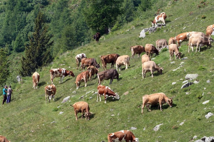 Contributi regionali per le realtà produttive territoriali, domande entro il 4 maggio