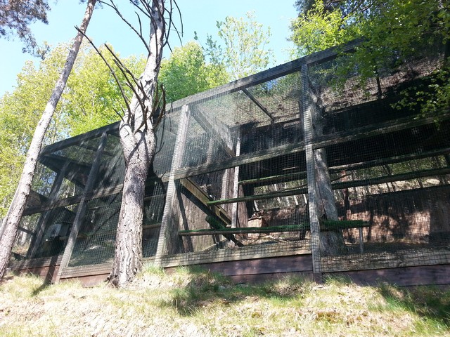 Giovedì un pomeriggio di festa per conoscere il Centro Faunistico del Parco dell’Adamello
