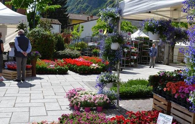 Piancogno, la Fiera dei Fiori colora la via principale fino al 28 aprile