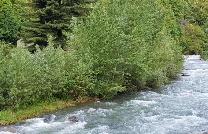 BioBlitz, la biodiversità alla portata di tutti con il Parco dell’Adamello