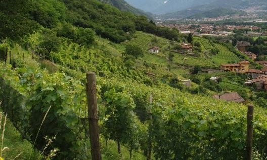Erbanno, via con attrezzi agricoli per il valore di tremila euro