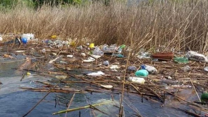 Torbiere, riprendono le operazioni di pulizia delle Lamette