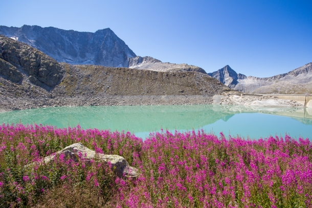 ‘Youth at the top’, il Parco dell’Adamello partecipa al progetto europeo dedicato ai giovani ed alle Alpi