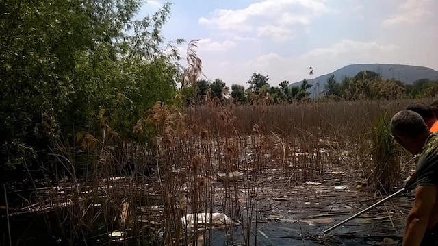 Lamette di Iseo, definite dalla Prefettura le modalità delle operazioni di pulizia