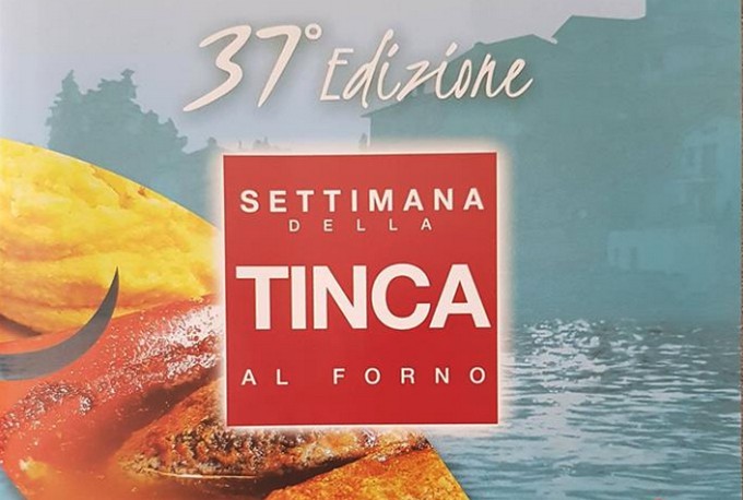 Clusane d’Iseo, la tinca sarà allevata nell’incubatoio