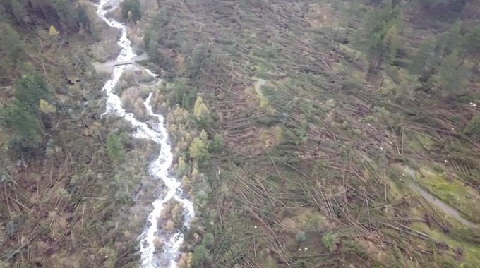Sonico, tecnici ambientali a confronto sul futuro delle foreste dopo la tempesta Vaia. Allarme bostrico e fondi insufficienti