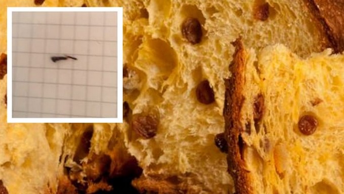 Un corpo estraneo nel panettone: spiacevole episodio per un camuno