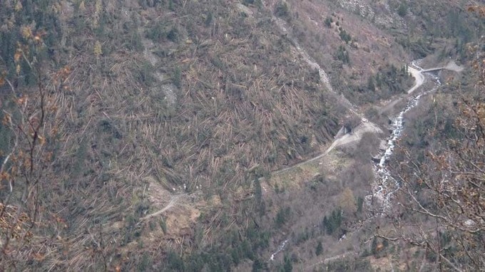 Boschi camuni, saranno rimossi solo ‘il 20-30%’ degli alberi schiantati dal maltempo