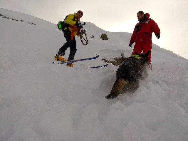 Il Cnsas raduna le unità cinofile di tutta la Lombardia al Passo del Tonale