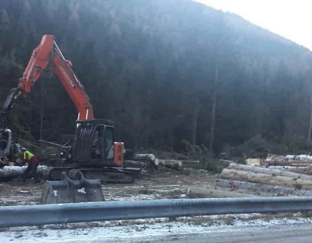 Corteno Golgi, iniziati i lavori di rimozione degli alberi caduti a fine ottobre