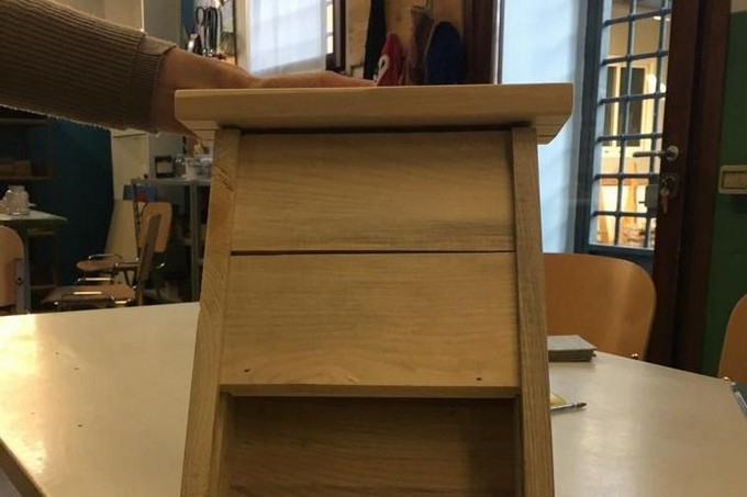 Malegno, in arrivo le ‘bat-box’ per ospitare i pipistrelli (e debellare le zanzare)