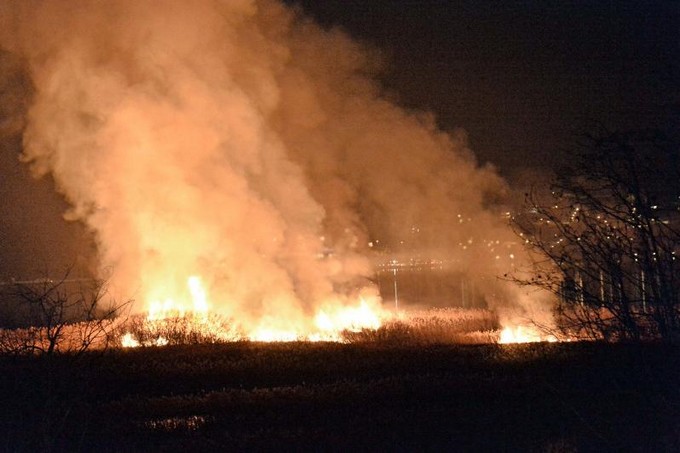 Iseo, incendio su un isolotto nel lago: distrutto canneto
