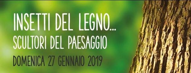Losine, domenica alla scoperta degli insetti xilofagi con il Centro Faunistico