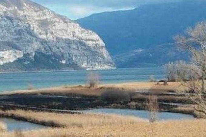 Torbiere: si cerca di stabilire il danno arrecato alla fauna dopo il rogo dell’altra sera alle Lamette