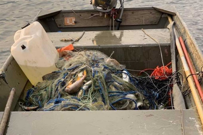 Alle Suore canossiane parte del pesce recuperato dalla rete abusiva nel lago d’Iseo