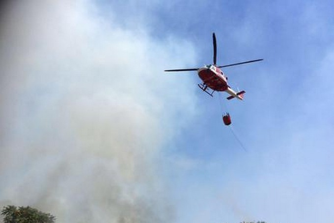 Valle di Saviore, incendio sulla strada che porta a Fabrezza: due ettari di bosco in fumo