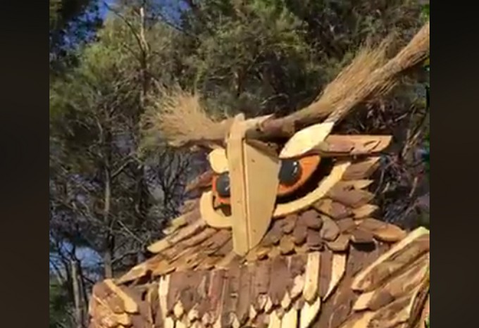 Bienno presenta Rocco, il gufo gigante che domina il Cerreto