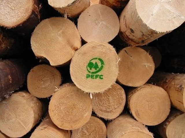 I boschi della Vallecamonica hanno ottenuto la ‘certificazione forestale’