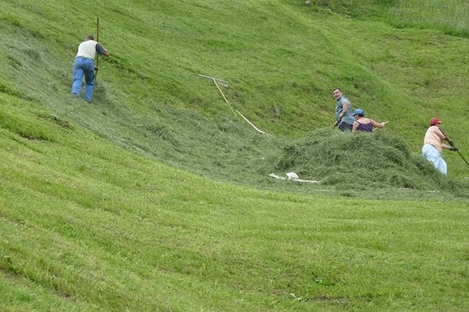 Il Parco dell’Adamello ripropone il premio Prati da sfalcio