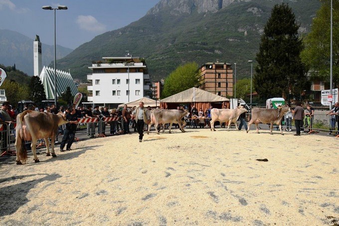 Vivilavalle – Gli appuntamenti del 13 aprile 2019