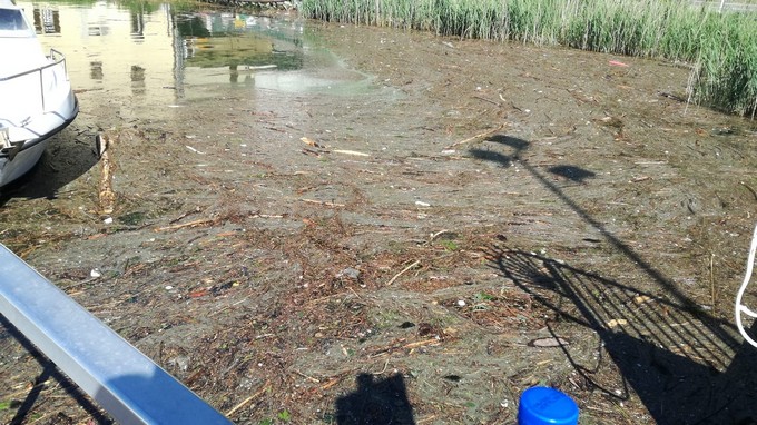 Costa Volpino, acque inquinate nel porto in località Bersaglio