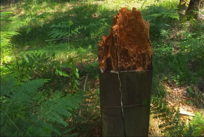 Cedegolo, atto vandalico nel Parco dell’Adamello: danneggiati i totem espositivi